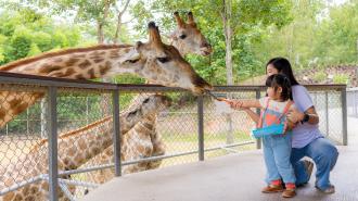 Zoo